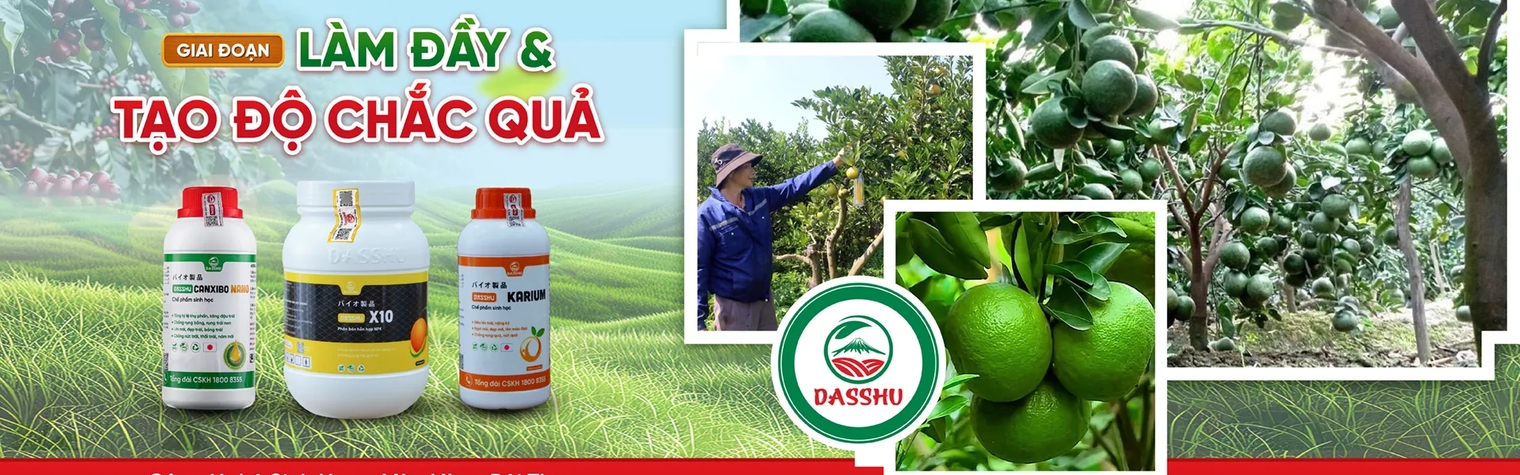 Banner sản phẩm