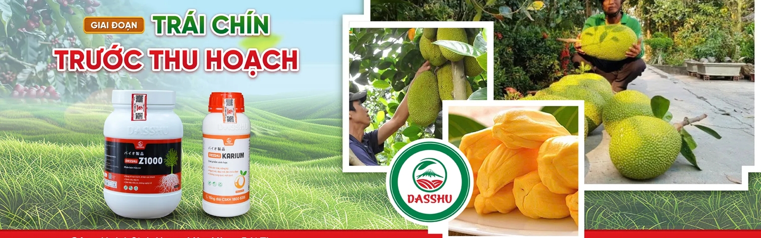 Banner sản phẩm