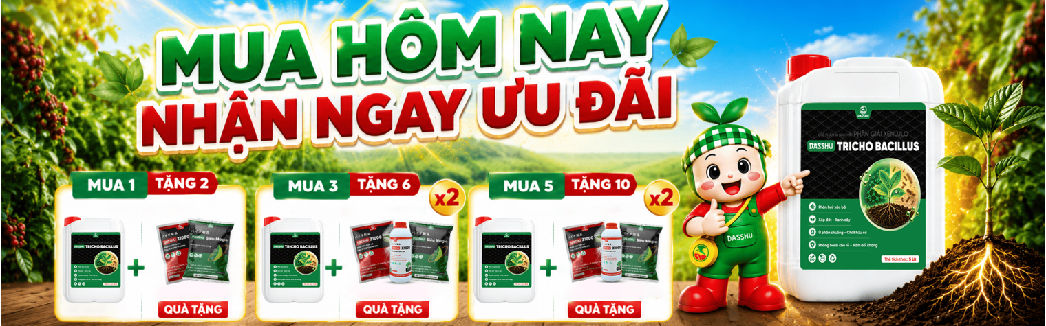 Banner sản phẩm
