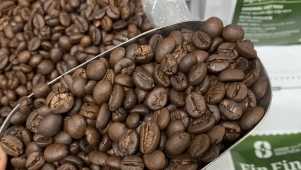 Giá cà phê hôm nay nay 03/02/2026 - Diễn biến và xu hướng mới