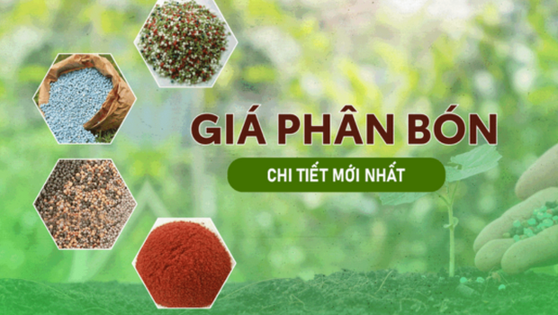 Giá phân bón ngày 03/02/2026 - Xu hướng phân bón năm 2026