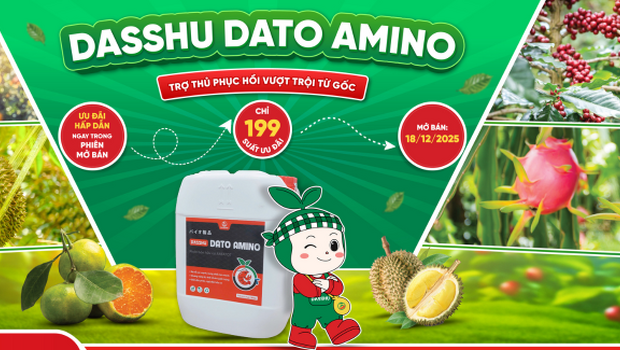 DATO AMINO – Phân bón amino thế hệ mới phục hồi cây vượt trội