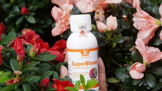 Nông nghiệp đô thị dasshu