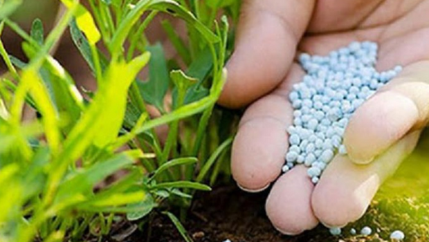 Giá phân bón thế giới mới nhất - Xu hướng, bảng giá và tác động đến sản xuất