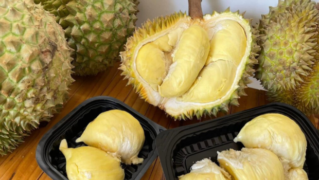 Giá sầu riêng hôm nay tháng 02/2026 - Tin tức thị trường mới nhất