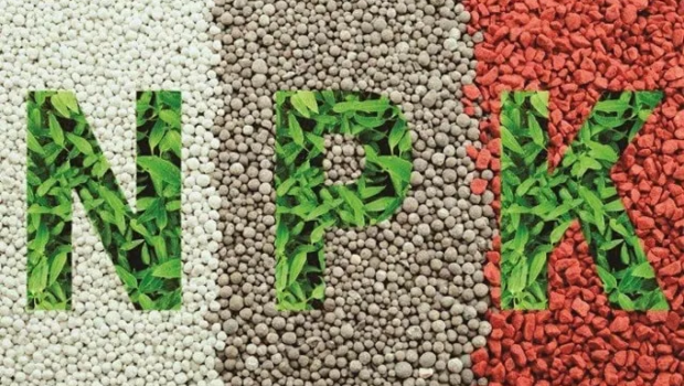 Phân bón NPK là gì? Kiến thức đầy đủ và cách sử dụng hiệu quả