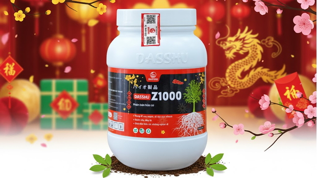 Dasshu Z1000 phiên bản Tết 2026 | Giải pháp kích rễ đầu vụ