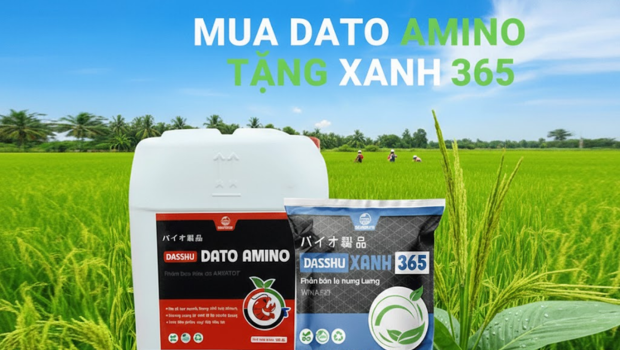 Ra mắt DATO AMINO – Giá khuyến mãi giảm 400.000 đồng/can, tặng kèm Xanh 365