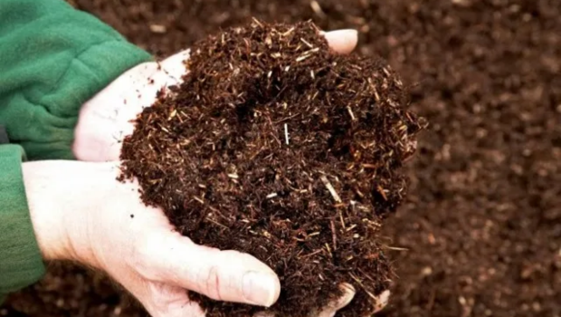Nông nghiệp tuần hoàn 2026: Biến rác thải nhà bếp thành “vàng đen” cho cây trồng