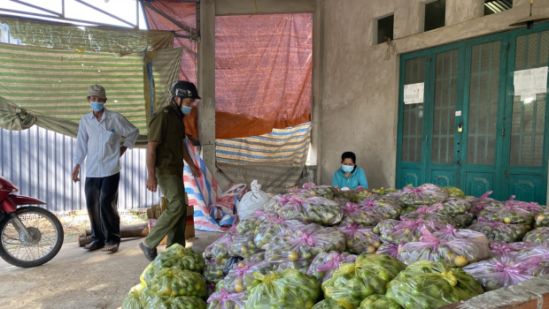 Giá xăng dầu tăng, nông dân thấp thỏm vì chi phí vận chuyển