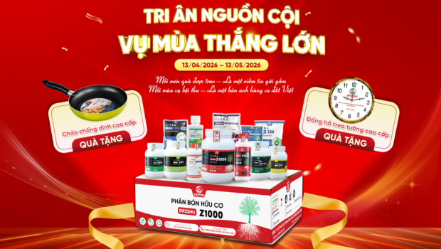 Giỗ Tổ Hùng Vương 2026: Mua DASSHU Z1000 Nhận Quà Lớn – Cơ Hội Trúng Vụ Cả Năm