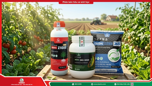 Cây Vàng Lá, Chậm Lớn: Nguyên Nhân Và Cách Phục Hồi Từ Rễ Đến Lá