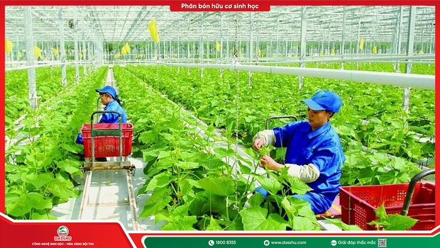 Nông Nghiệp Sinh Học Việt Nam: Thực Trạng, Thách Thức Và Cơ Hội 2026–2030