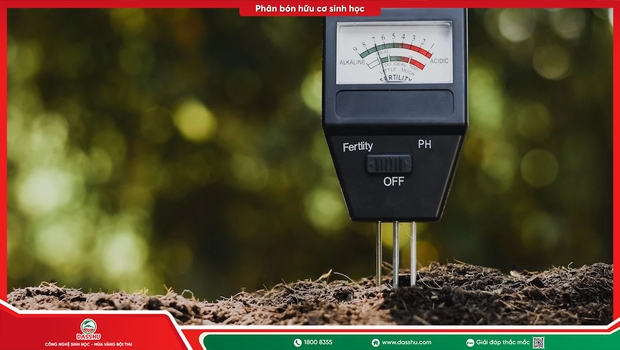 pH Đất Là Gì? Ảnh Hưởng Đến Rễ Và Năng Suất Cây Ăn Trái Ra Sao?