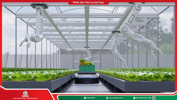 Canh Tác Truyền Thống Và Sinh Học - Khác Nhau Thế Nào, Nên Chọn Cách Nào?