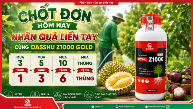 Chốt Đơn Hôm Nay – Nhận Ưu Đãi Cùng DASSHU Z1000 Gold