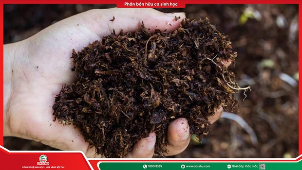 Phân Bón Hữu Cơ Là Gì? Lợi Ích Với Đất Trồng