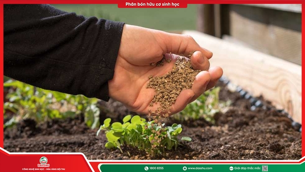 Các Loại Phân Bón Sinh Học Phổ Biến Và Cách Chọn Phù Hợp