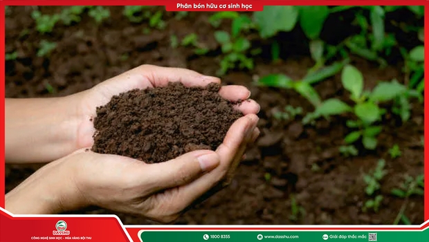 Phân Hữu Cơ Vi Sinh Là Gì? Khác Gì Phân Hữu Cơ Thường?