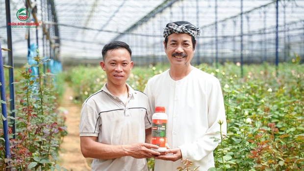 Vườn sầu riêng “đẻ ra vàng” nhờ Z1000 GOLD