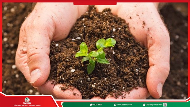 7 Tác Dụng Của Phân Bón Sinh Học Với Cây Trồng Và Đất