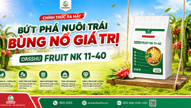 Khuyến mãi ra mắt DASSHU FRUIT NK 11-40