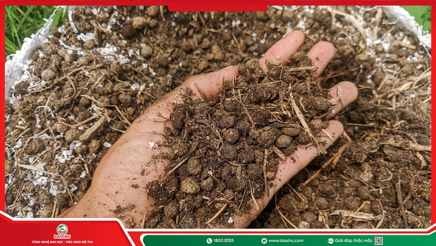 Phân Hữu Cơ Sinh Học Là Gì Và Vì Sao Nên Dùng?