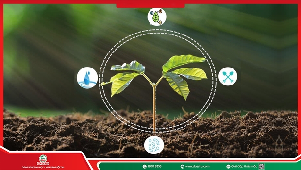 Chế Phẩm Sinh Học Là Gì? Ứng Dụng Trong Nông Nghiệp