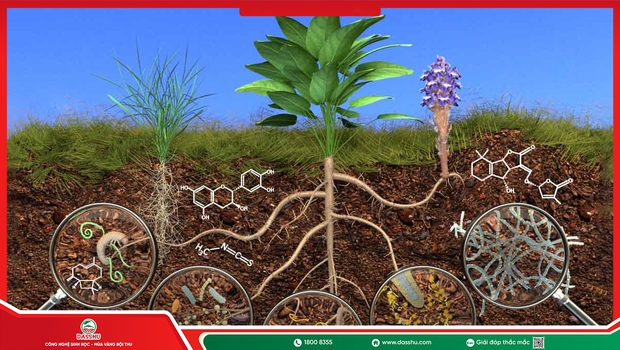 Phân Bón Sinh Học Có Thực Sự Tốt Không?