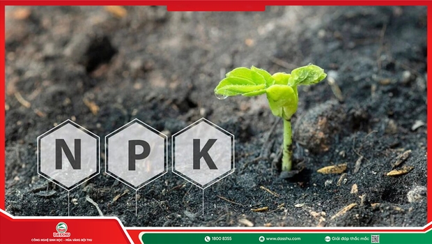Phân NPK Là Gì? Ý Nghĩa Các Con Số Trên Bao Phân