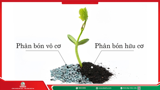 Cách Kết Hợp Phân Hữu Cơ Và Vô Cơ Hiệu Quả