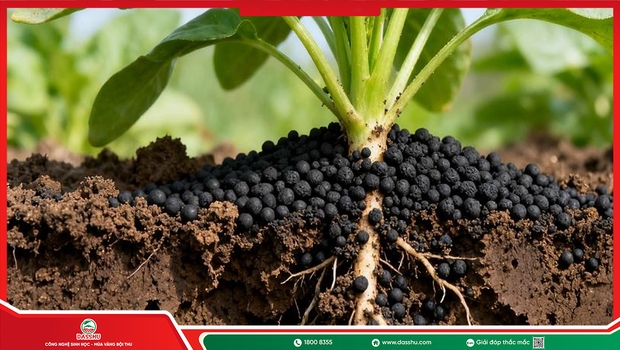 Axit Humic Là Gì? Tác Dụng Với Cây Trồng Và Đất