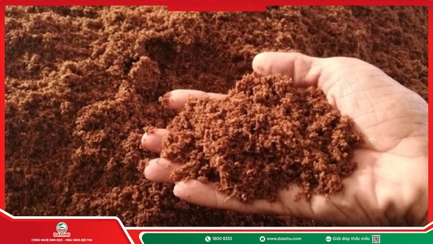 Axit Fulvic Là Gì? Vì Sao Cây Dễ Hấp Thu Dinh Dưỡng?