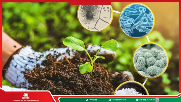 Nấm Đối Kháng Là Gì? Cơ Chế Phòng Bệnh Cho Cây Trồng
