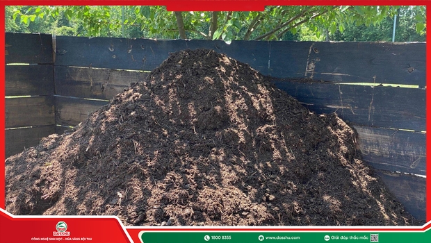 Cách Sử Dụng Trichoderma Ủ Phân Và Xử Lý Đất Đúng Cách