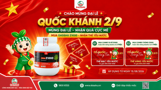 Khuyến Mại Z1000 Quốc Khánh 2/9 – Nhận Thẻ Ưu Đãi Đến 500.000Đ
