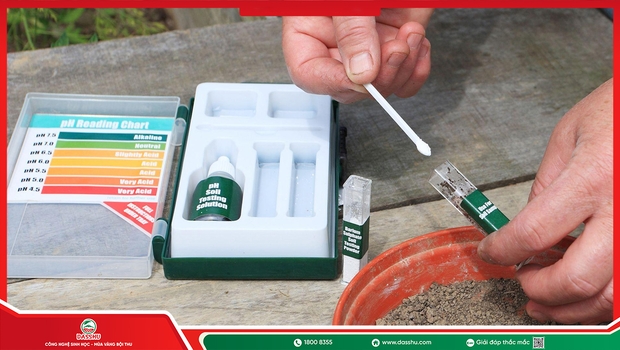 Đất Bị Chua Phải Làm Sao? 5 Cách Xử Lý Đất Chua Hiệu Quả