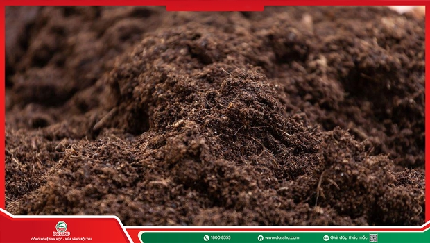 Mùn Hữu Cơ Là Gì? Vai Trò Với Độ Phì Của Đất