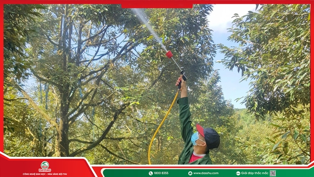 Phân Bón Lá Là Gì? Cách Bón Qua Lá Hiệu Quả Cho Cây