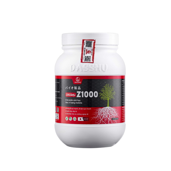DS Z1000 - SIÊU KÍCH RỄ & ĐI ĐỌT