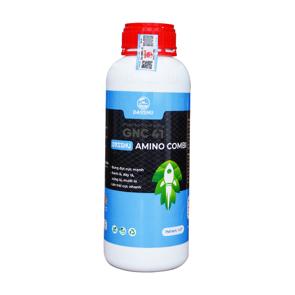 DS AMINO COMBI