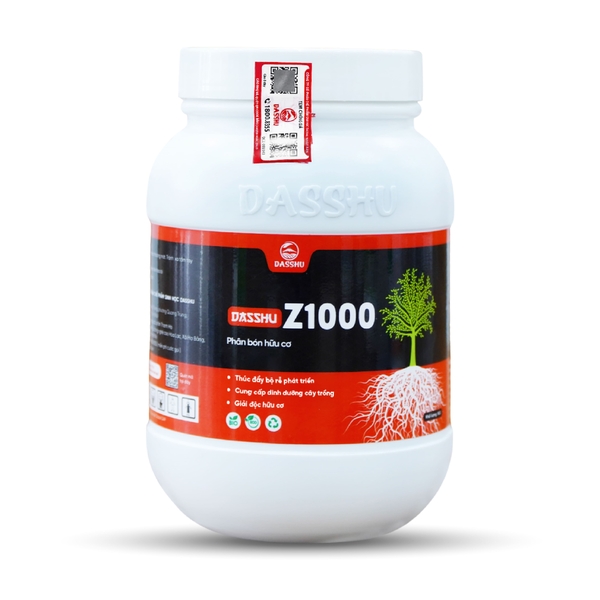 DS Z1000