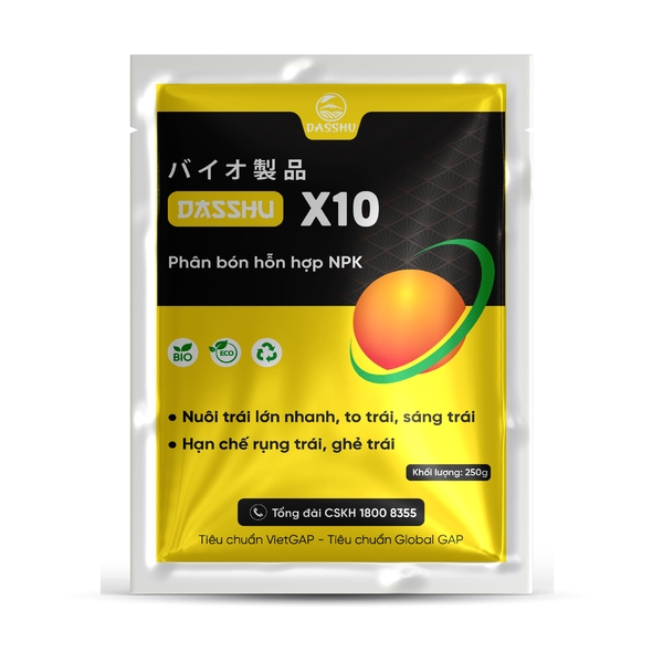 DS X10 (250gr)
