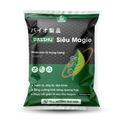 Siêu MAGIE