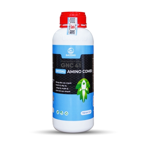 DS AMINO COMBI