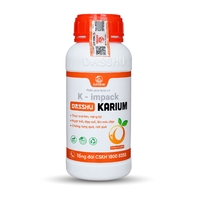 DS KARIUM
