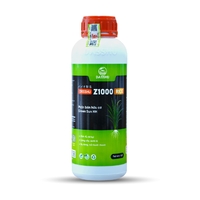 DS Z1000 RICE