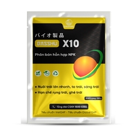 DS X10 (250gr)
