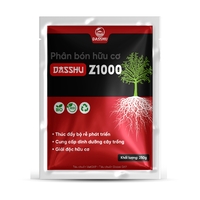 DS Z1000 (250gr)