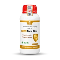 DS NANO ĐỒNG